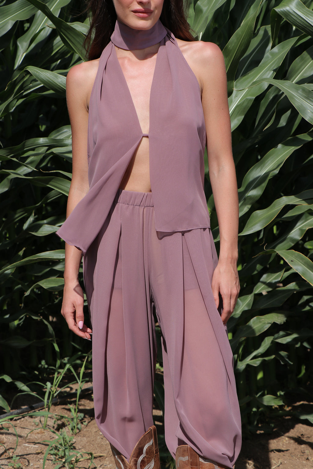 Vintage plum
