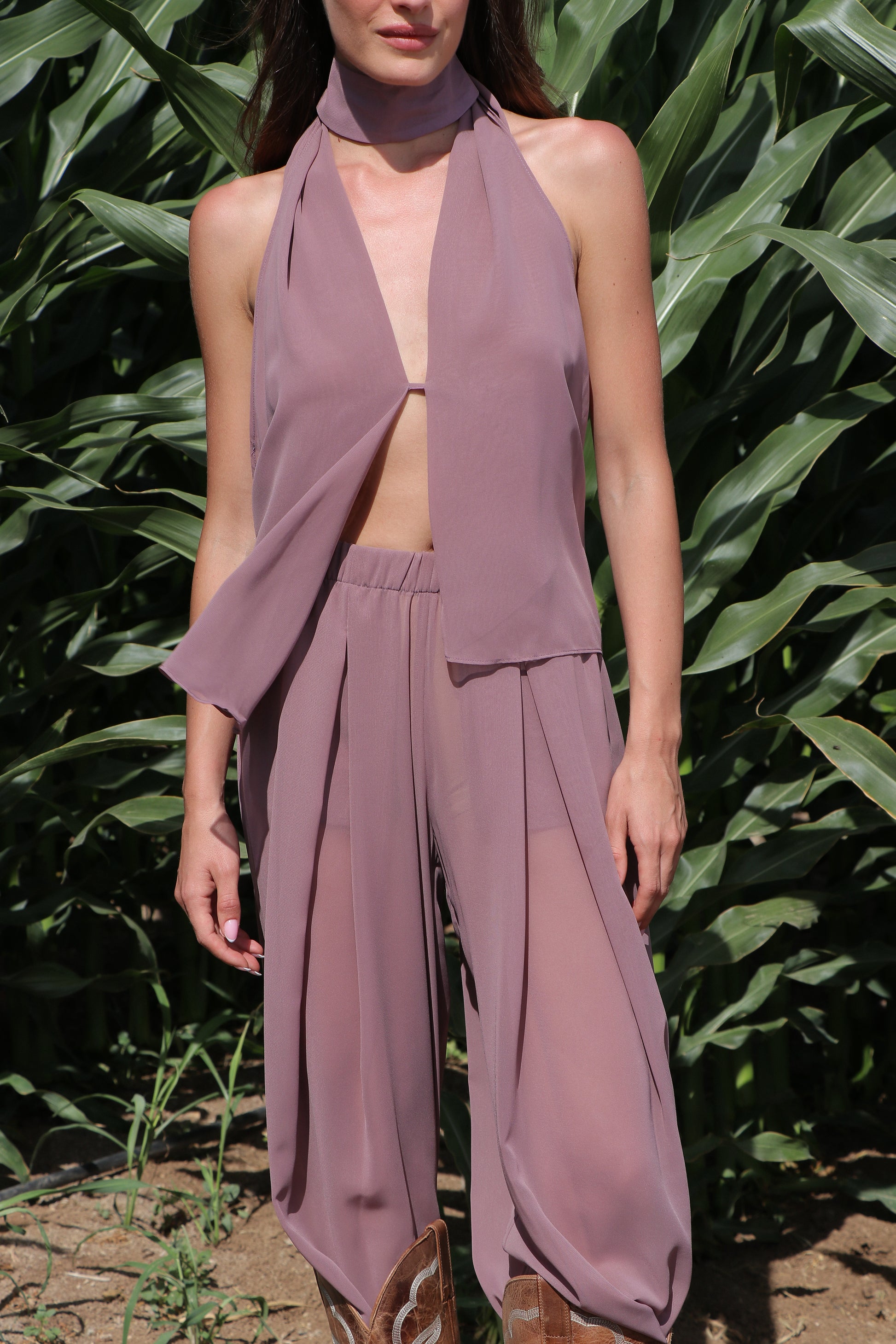 Vintage plum