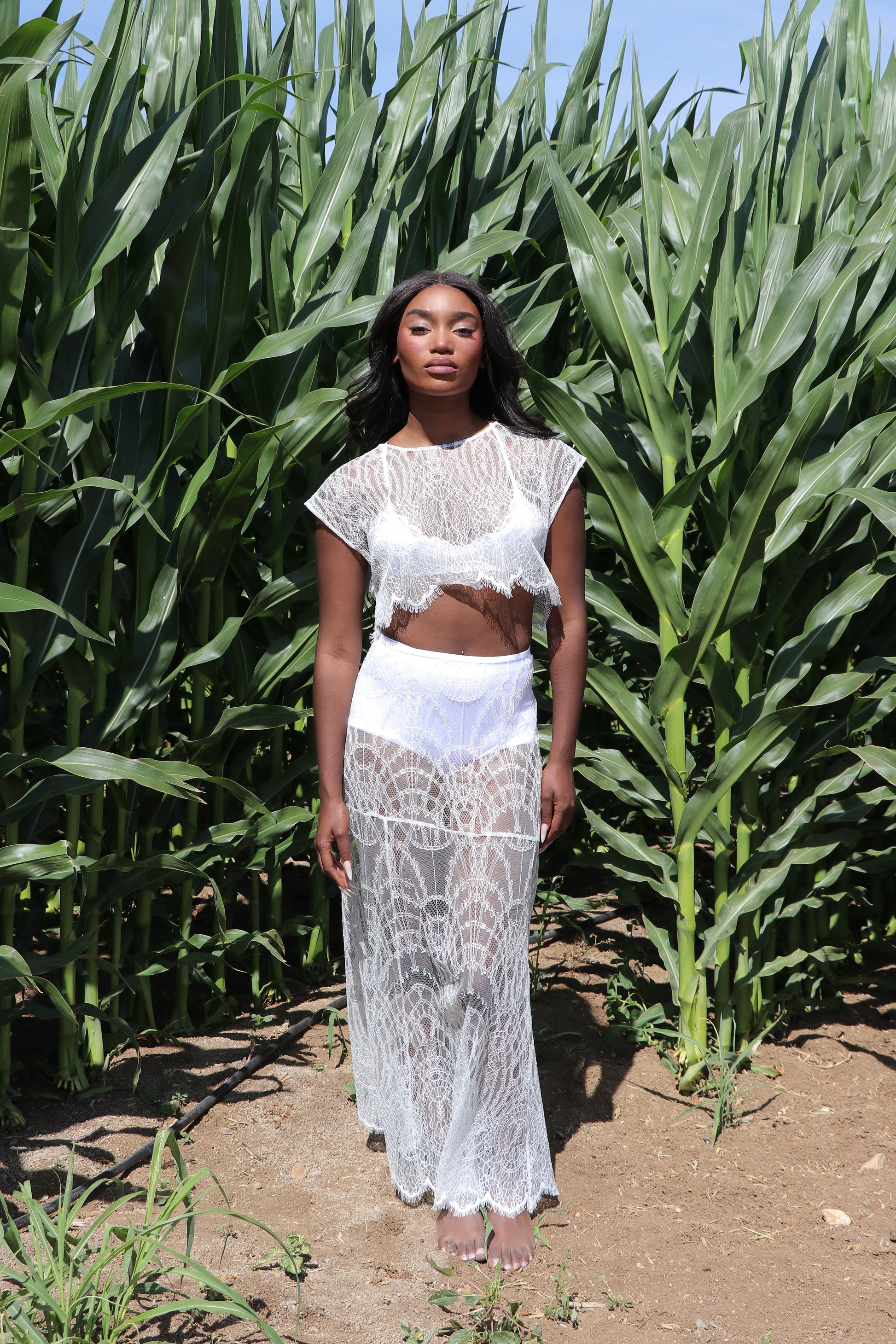 Ivory