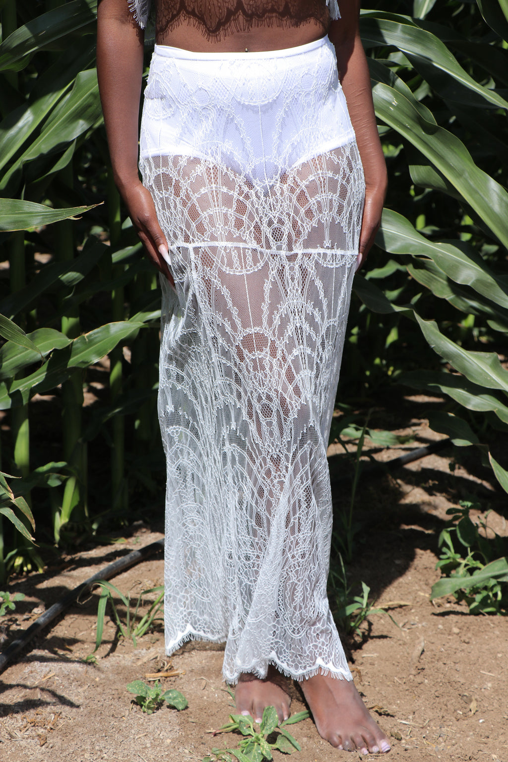 Ivory