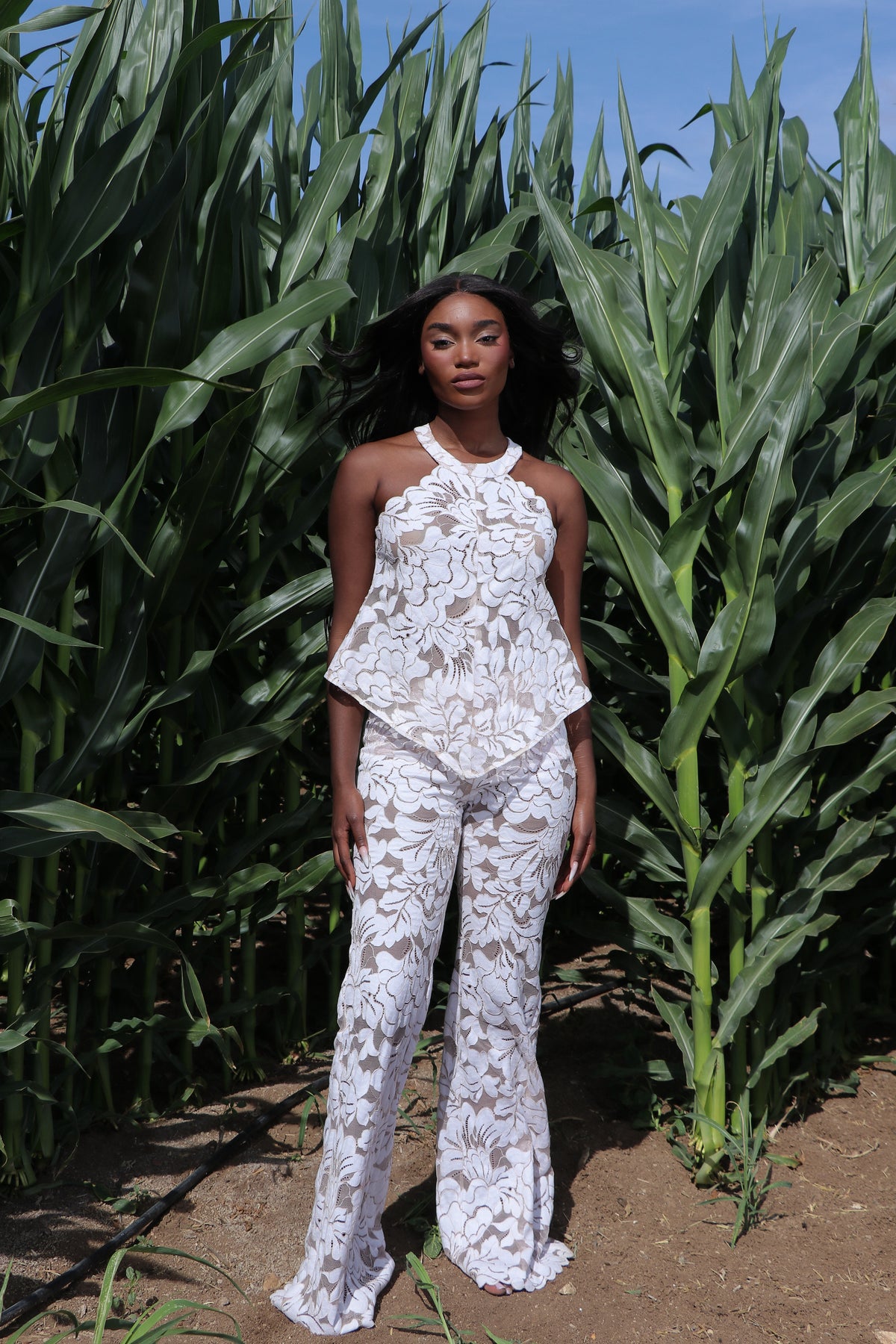 Ivory
