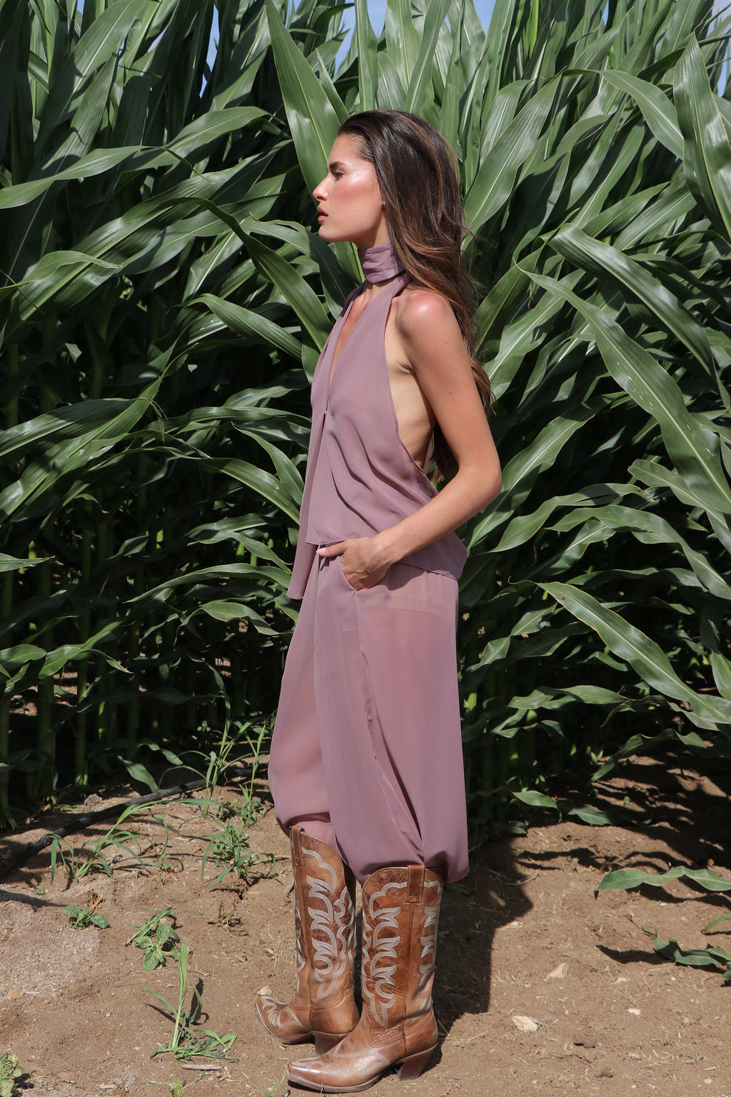 Vintage plum