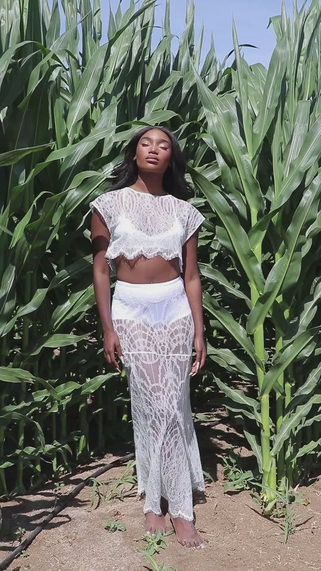 Ivory