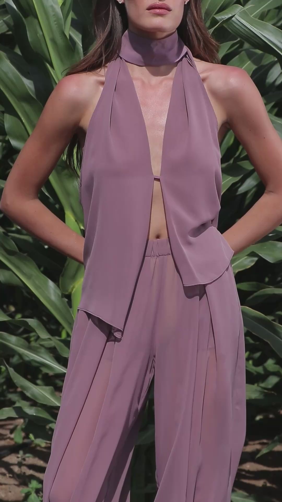 Vintage plum